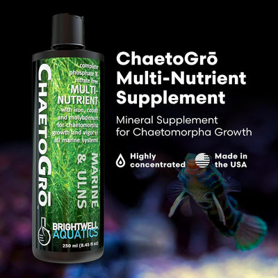 Brightwell Aquatics ChaetoGrō – Chaetomorpha Multi-Nutrient – 250 ml