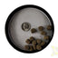 Xtreme Aquatic Foods Monster 9mm sinking pellets shown with a dime for size comparison