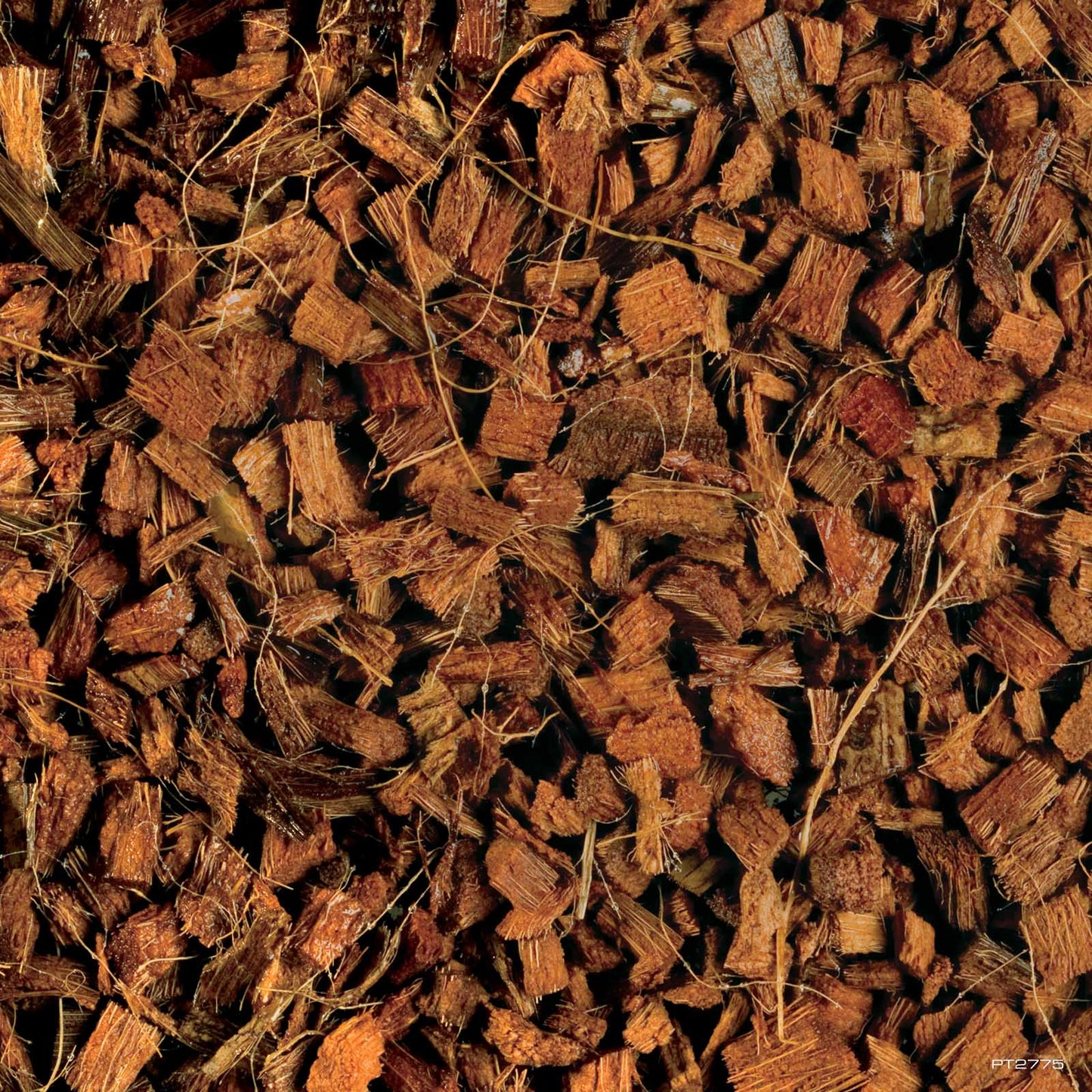 Loose Exo Terra Coco Husk coconut-husk chip substrate after soaking and expanding