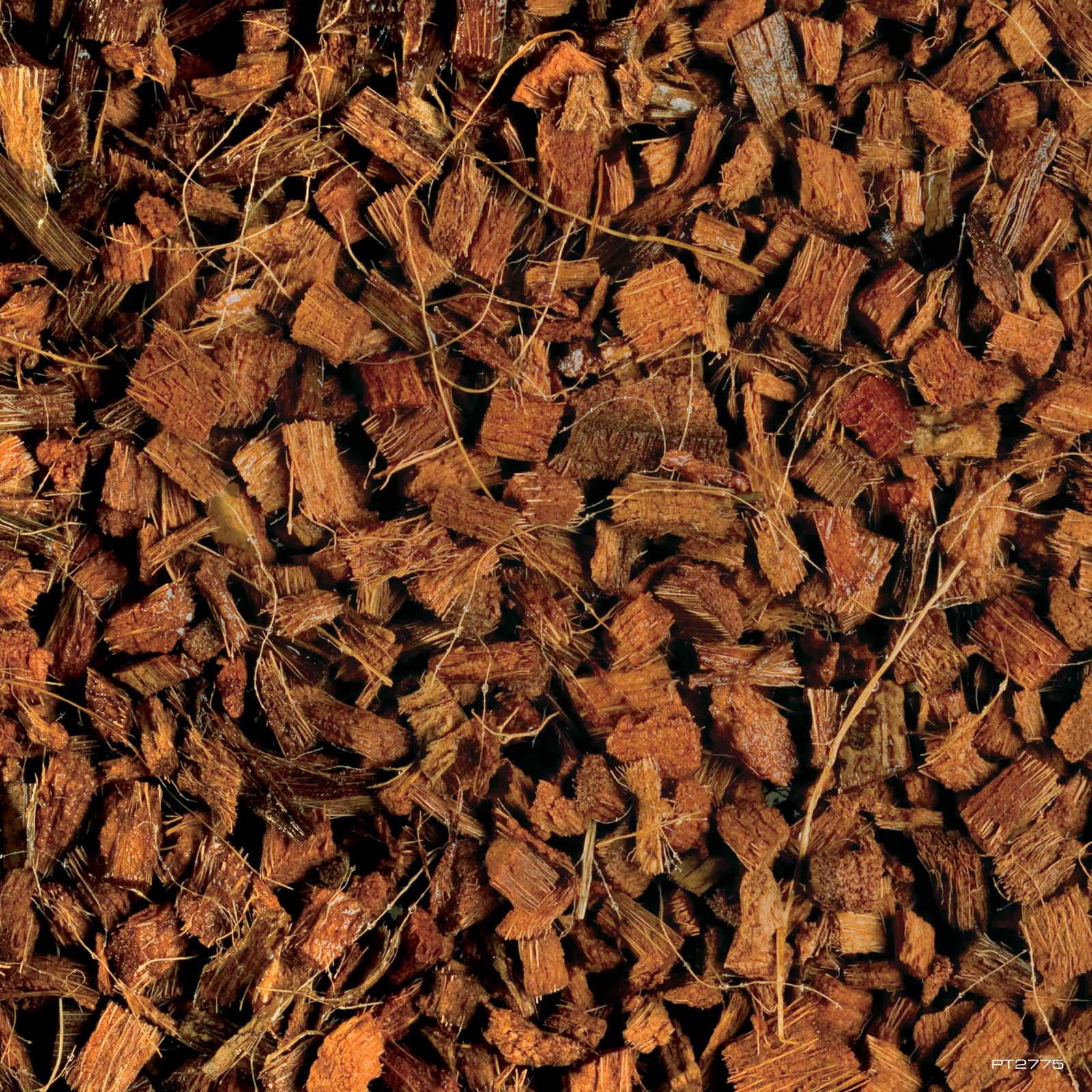 Loose Exo Terra Coco Husk coconut-husk chip substrate after soaking and expanding