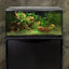Fluval Flex 32.5 planted aquarium displayed on its matching black Fluval cabinet stand
