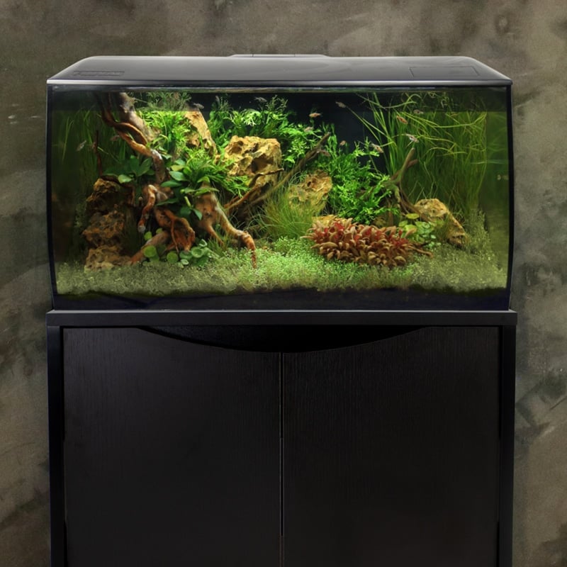 Fluval Flex 32.5 planted aquarium displayed on its matching black Fluval cabinet stand
