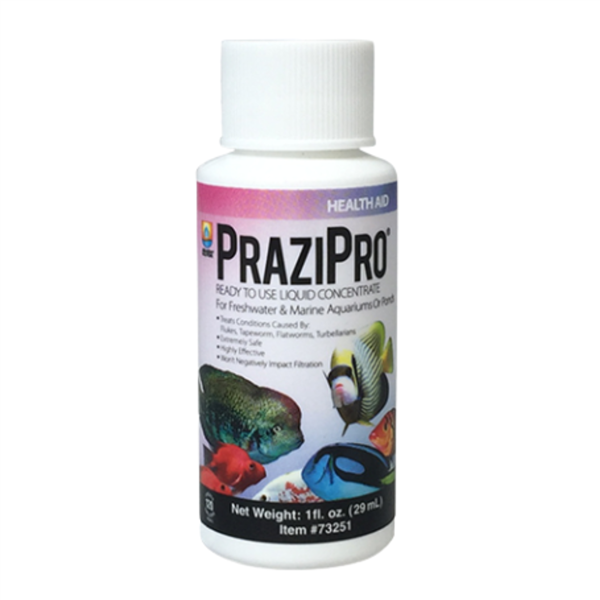 Hikari PraziPro 1oz bottle - liquid praziquantel parasite treatment for freshwater and saltwater aquariums