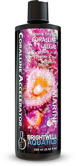 Brightwell Aquatics Coralline Accelerator – Coral Growth Booster – 250 ml