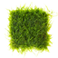 Java Moss (Taxiphyllum barbieri) Flat Pack moss mat pre-grown on mesh for an instant aquarium carpet