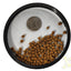 Xtreme Marine Big Fella Pellets