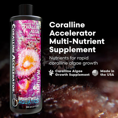 Brightwell Aquatics Coralline Accelerator – Coral Growth Booster – 500 ml