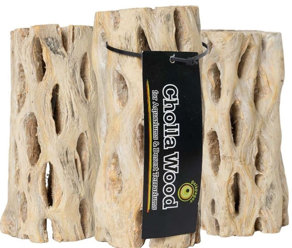 Galapagos Cholla Wood Branches 3-pack - hollow cactus skeleton driftwood for aquariums
