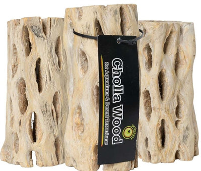 Galapagos Cholla Wood Branches 3-pack - hollow cactus skeleton driftwood for aquariums
