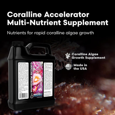 Brightwell Aquatics Coralline Accelerator – Coral Growth Booster – 2 L