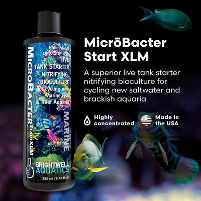 Brightwell Aquatics MicroBacter Start XLM – 15× Live Nitrifying Bioculture – 250 ml