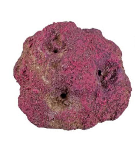 CaribSea LifeRock Frag Garden 3 Hole coral frag rock