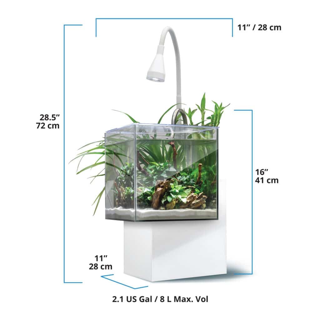Fluval Kühl dimensions diagram, 11 x 11 inch footprint, 16 inch tank height, 8 L / 2.1 gallon capacity