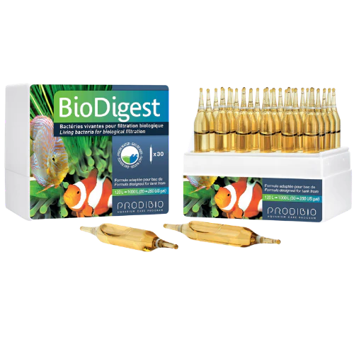 Prodibio BioDigest box with full set of live bacteria glass ampoules for aquarium cycling