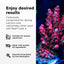Reef Code B benefits, carbonate dosing for marine aquariums shown with pink coral