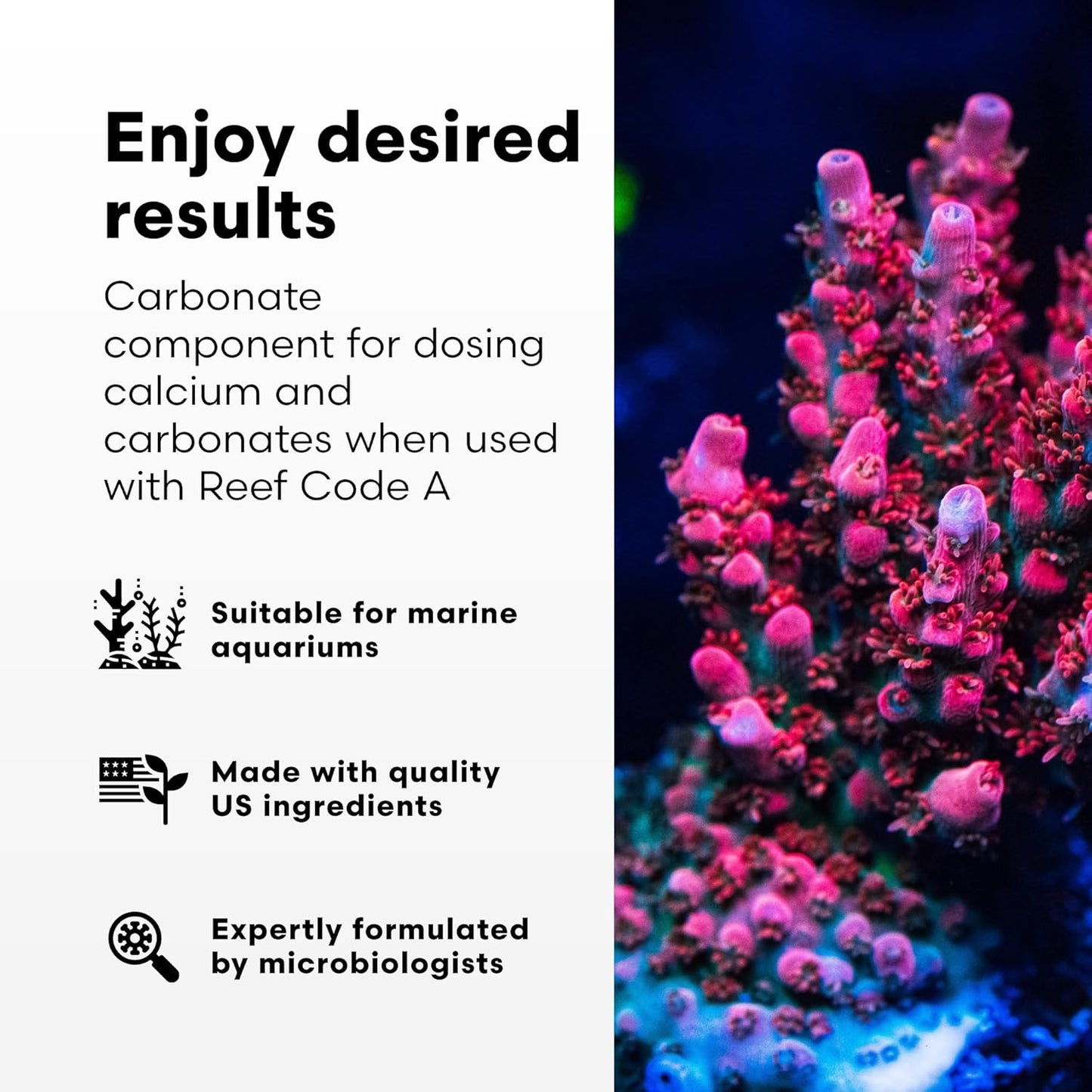Reef Code B benefits, carbonate dosing for marine aquariums shown with pink coral