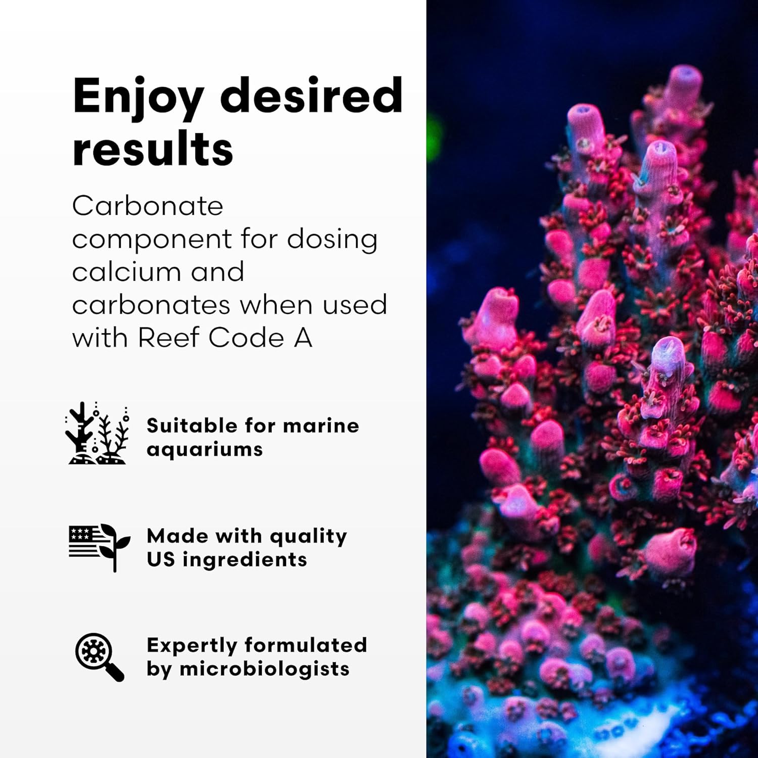 Reef Code B benefits, carbonate dosing for marine aquariums shown with pink coral