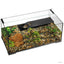 Exo Terra Turtle Haven set up with gravel, plants, and turtles basking on the built-in platform