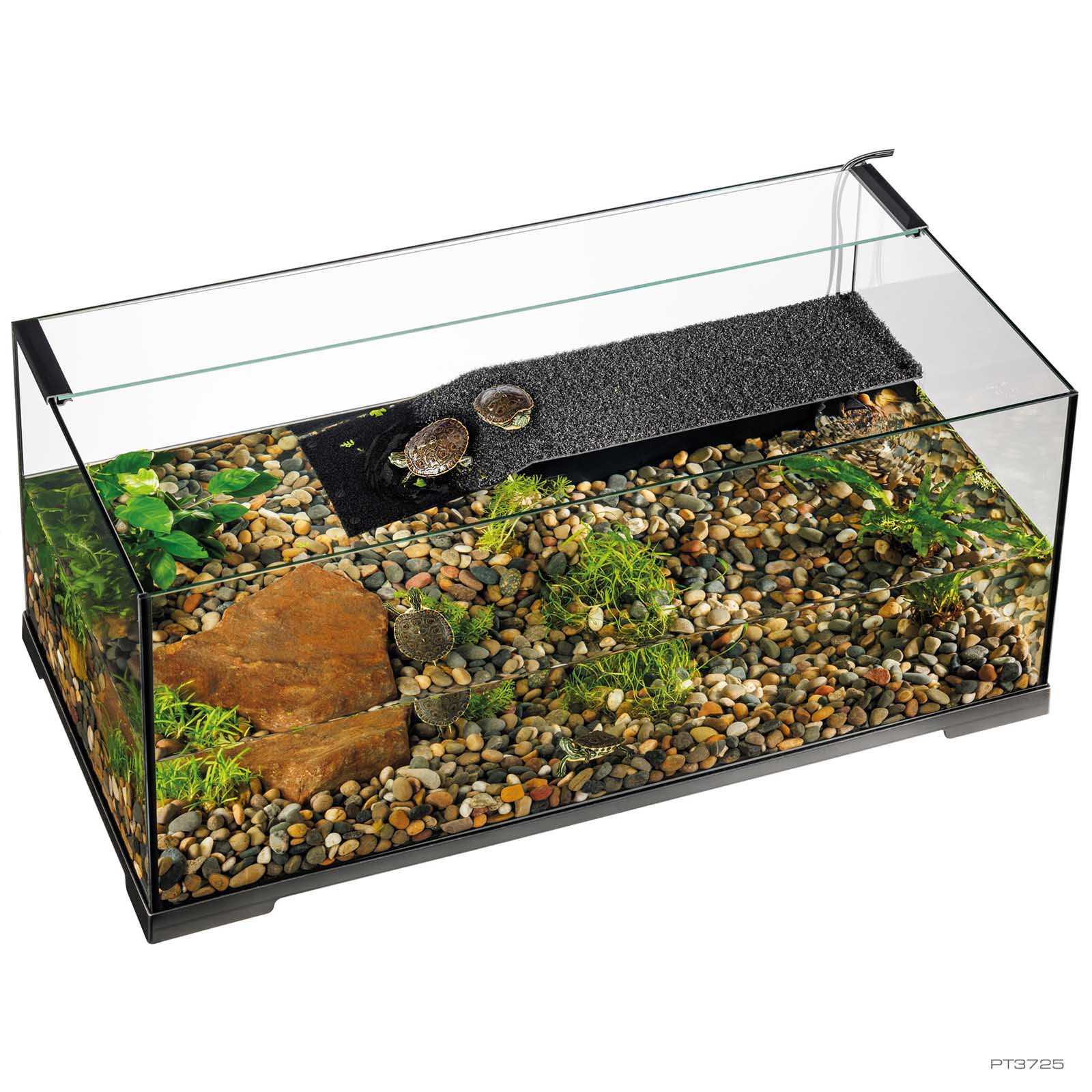 Exo Terra Turtle Haven set up with gravel, plants, and turtles basking on the built-in platform