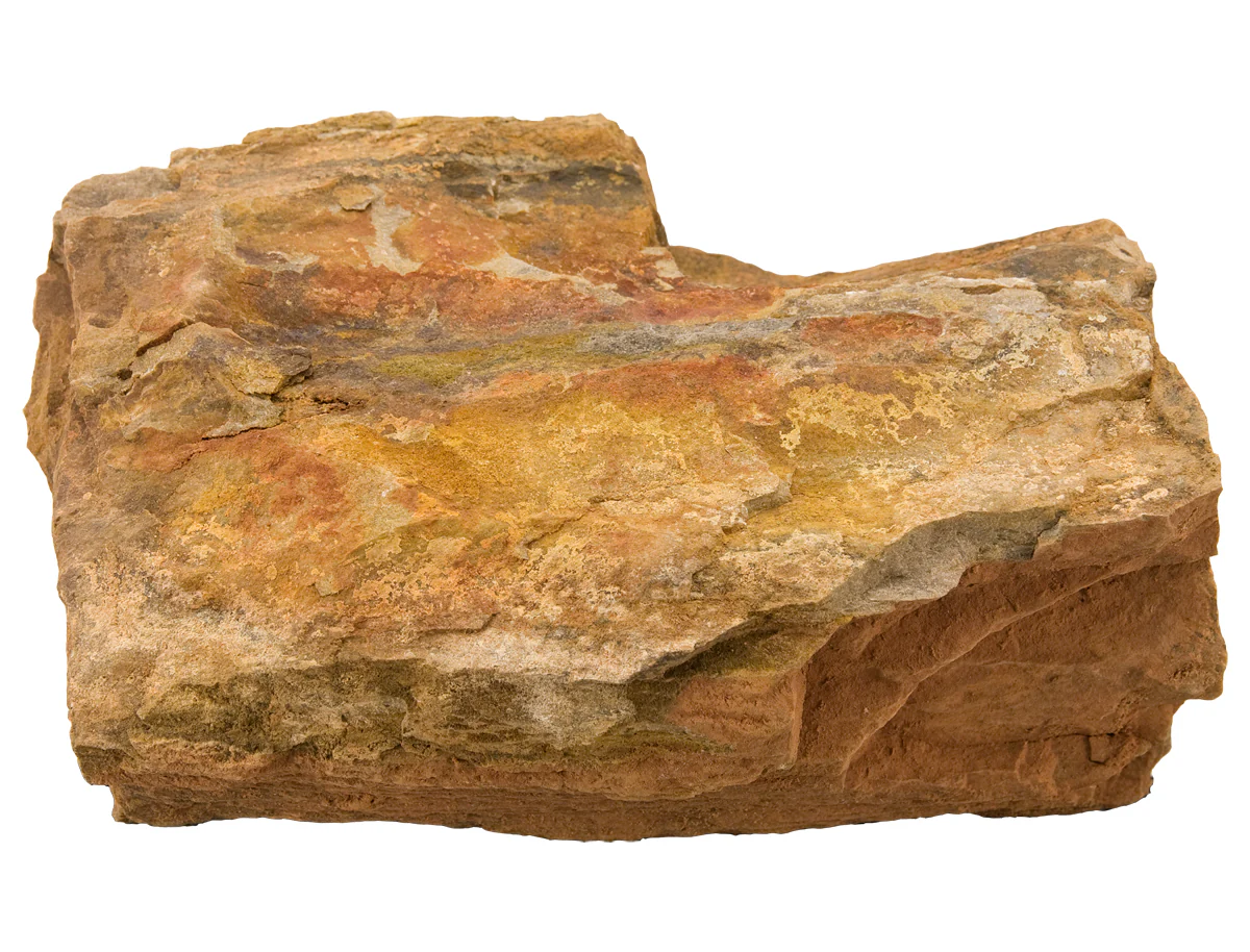 Petrified Wood