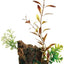 Marina Decor Wood Ornament with tall red-brown and green artificial stem plants on a driftwood base for a freshwater aquarium