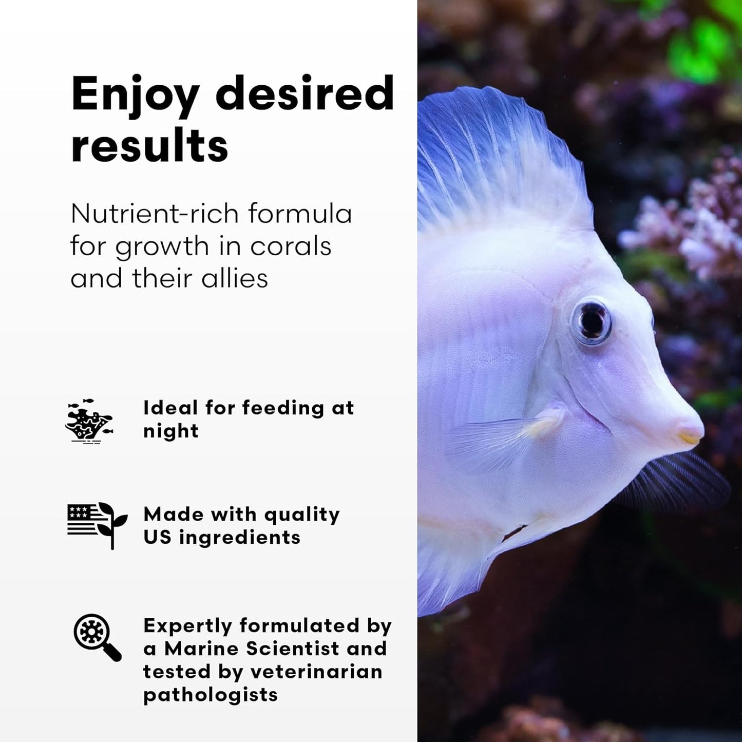 Brightwell Aquatics Reef Snow – Marine Snow Coral Nutrition – 250 ml