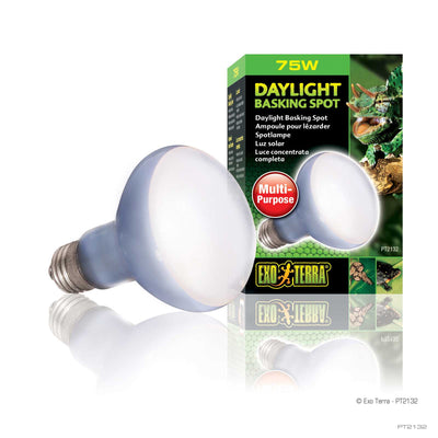 Exo Terra Daylight Basking Spot Lamp 75W box with neodymium reflector reptile bulb