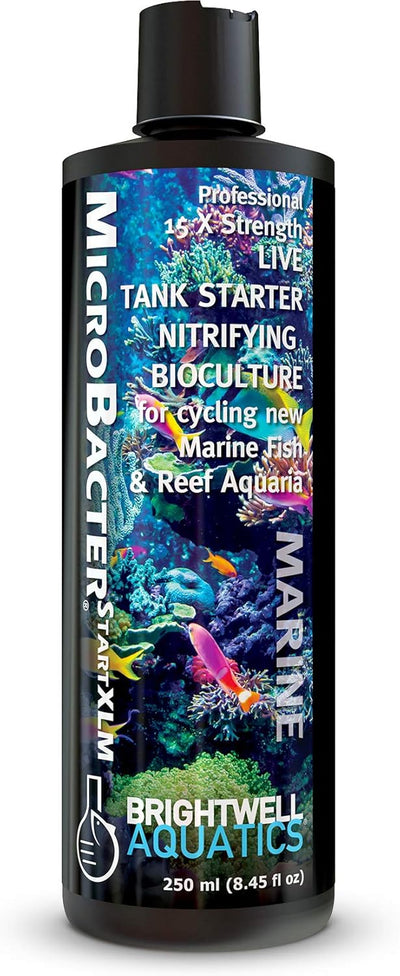 Brightwell Aquatics MicroBacter Start XLM – 15× Live Nitrifying Bioculture – 250 ml