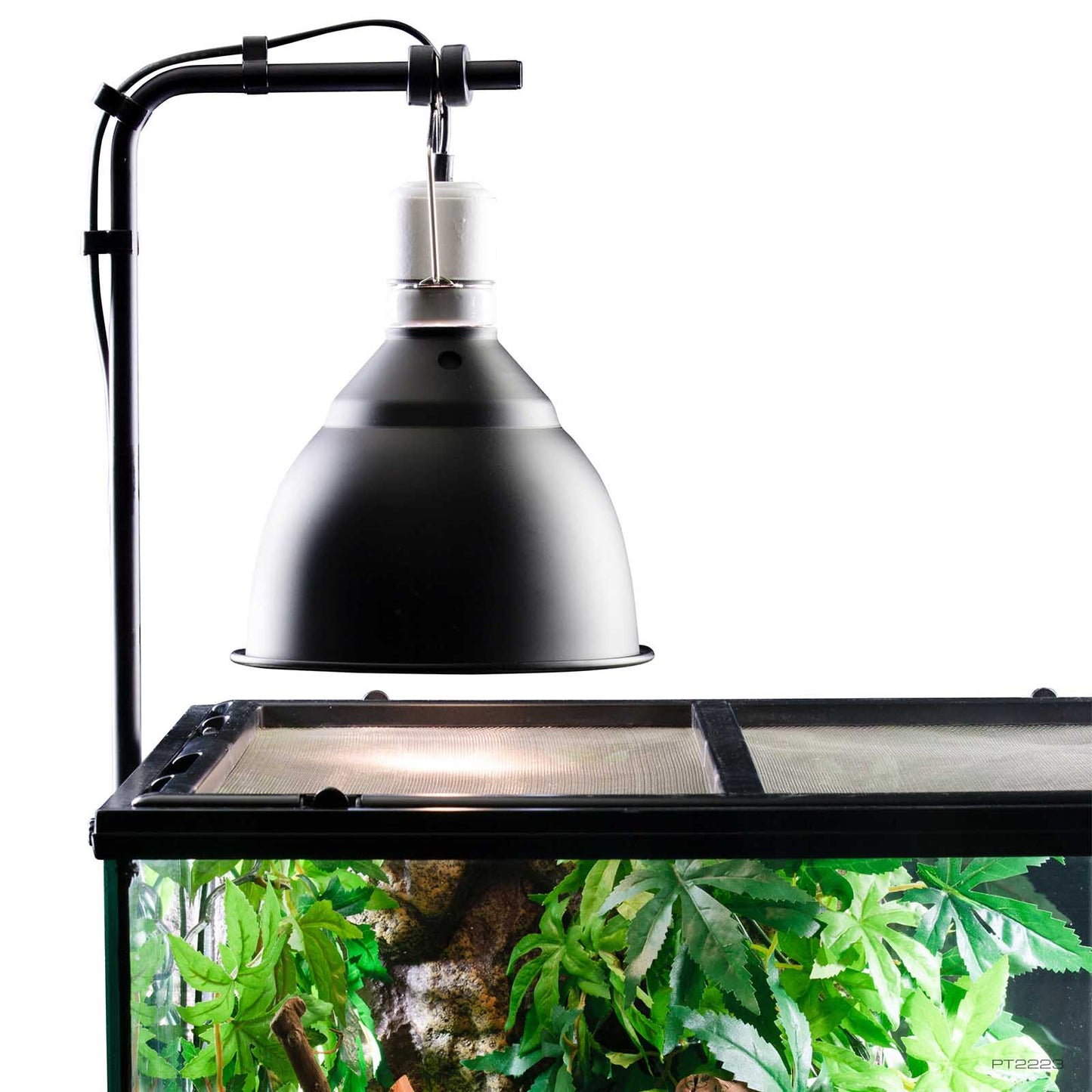 Exo Terra Light Bracket suspending a dome lamp above a planted glass terrarium