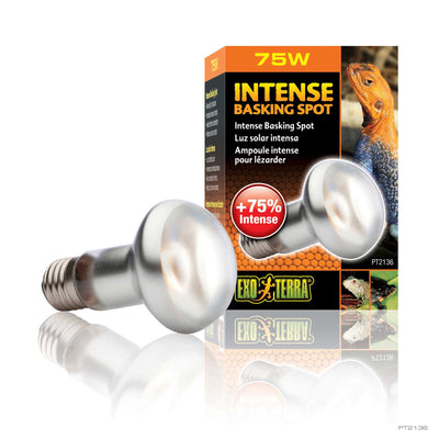 Exo Terra Intense Basking Spot Lamp 75W box with concentrated-beam reptile bulb