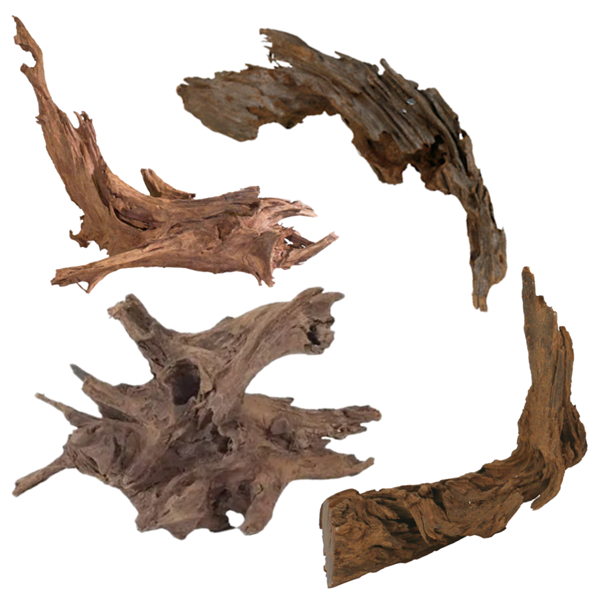 Malaysian Driftwood - natural hardwood pieces for freshwater aquarium aquascaping
