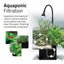 Aquaponic filtration diagram with the black Kühl nano aquarium, live plants cleaning the water
