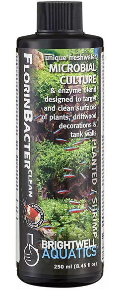 Brightwell FlorinBacter Clean 250 ml bottle - beneficial bacteria for planted freshwater aquariums and shrimp tanks