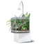 Fluval Kühl white nano aquarium with gooseneck LED lamp, planted with aquatic plants