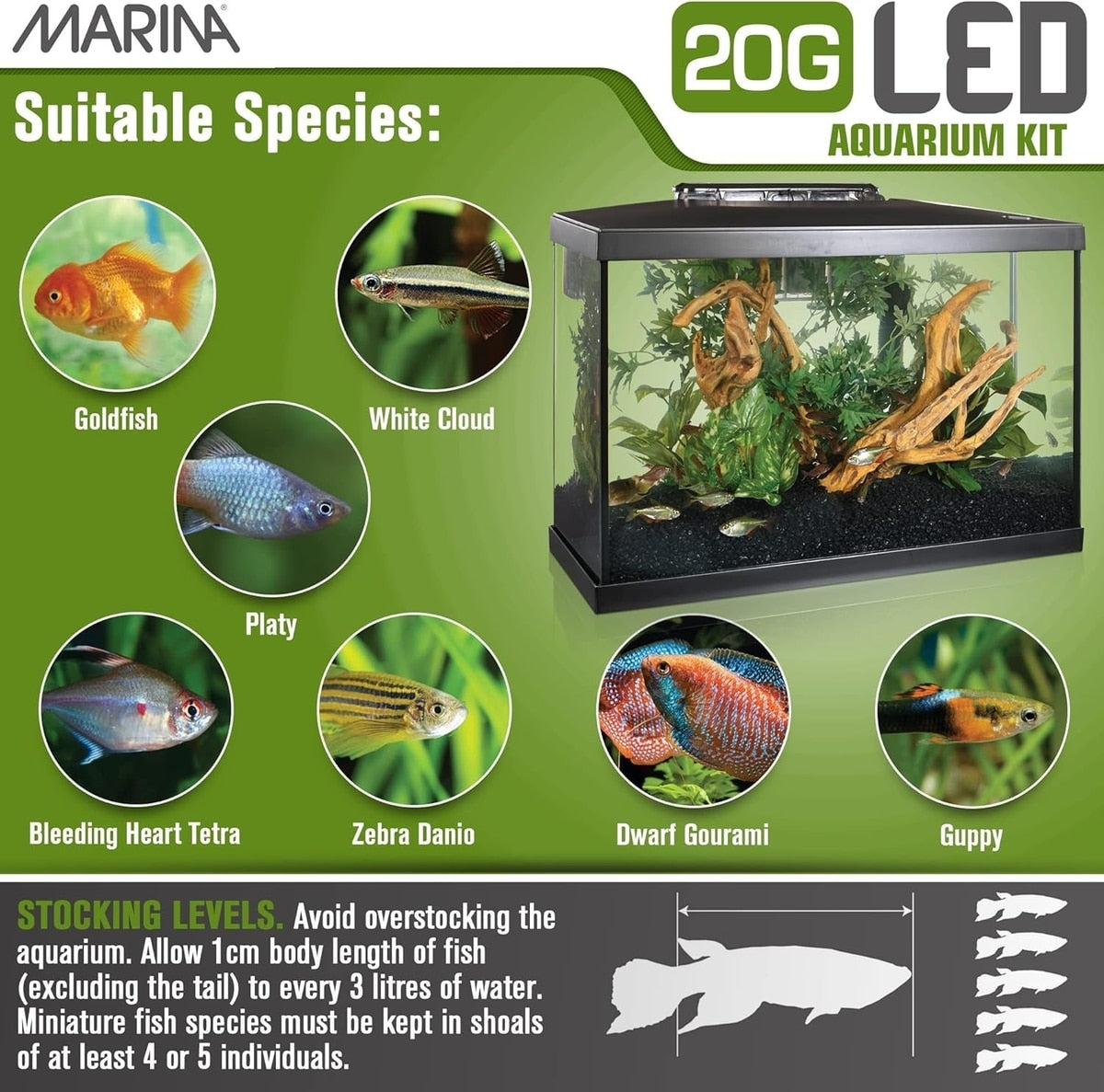 Marina 20G kit suitable species panel showing goldfish, white cloud, platy, tetra, danio, gourami, and guppy with stocking guidance