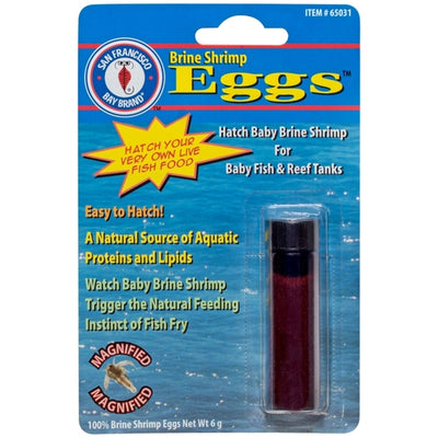 SFBB Brine Shrimp Eggs 6 gram vial, San Francisco Bay strain cysts