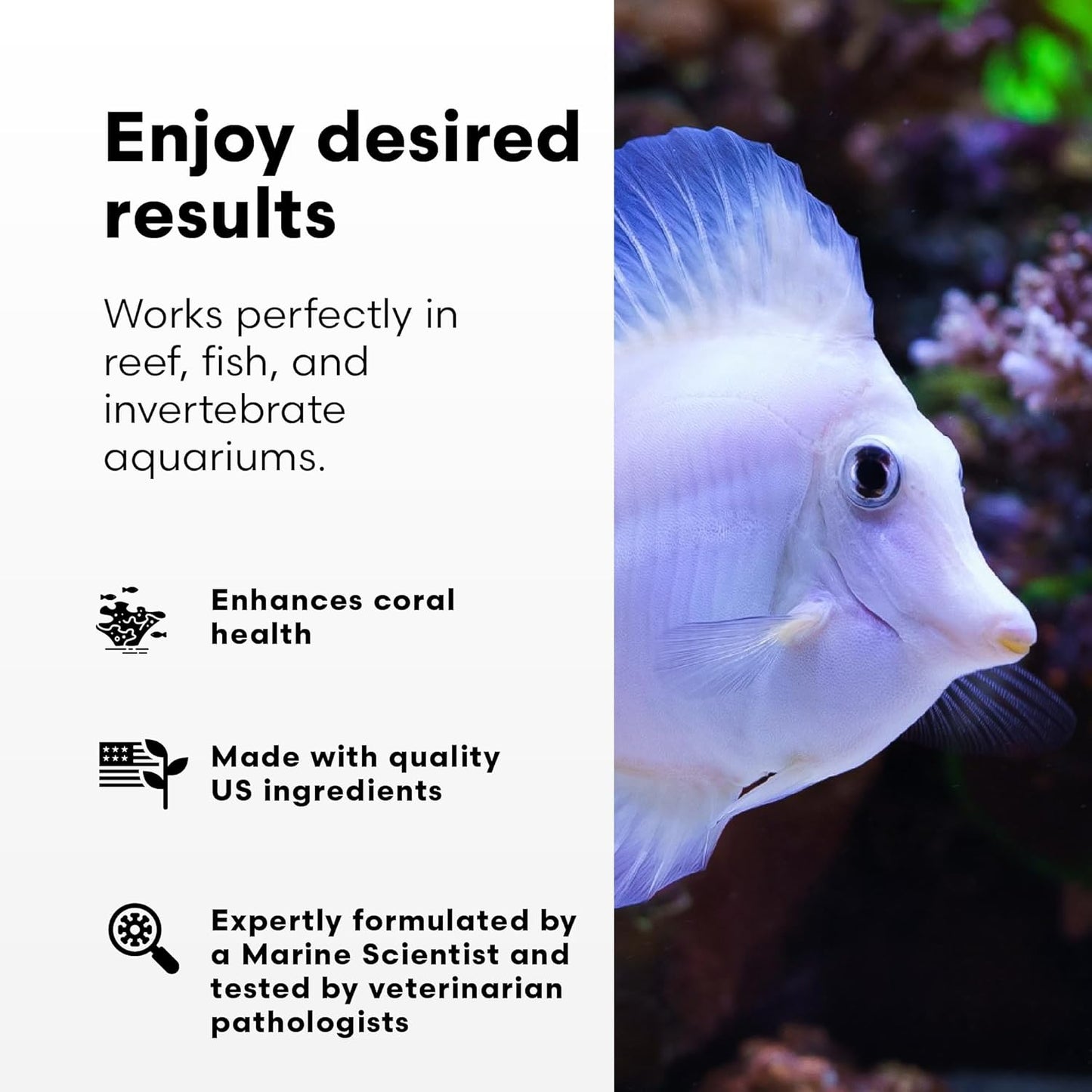 Brightwell Aquatics Reef BioFuel – Organic Carbon Supplement – 250 ml