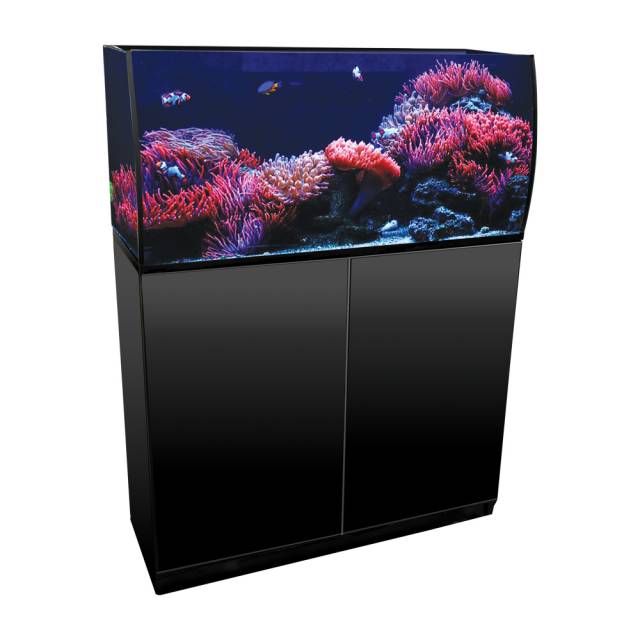 Aquatop Arc Bowfront 33.5 gallon aquarium kit shown on its stand (stand sold separately)