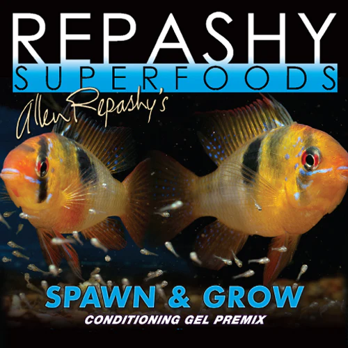Repashy Spawn & Grow conditioning gel premix for breeding fish with ram cichlids and fry