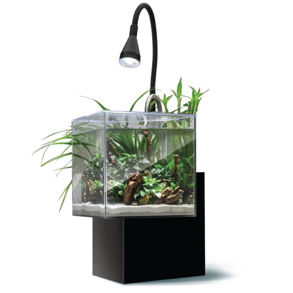 Fluval Kühl black nano aquarium with gooseneck LED lamp, planted with aquatic plants