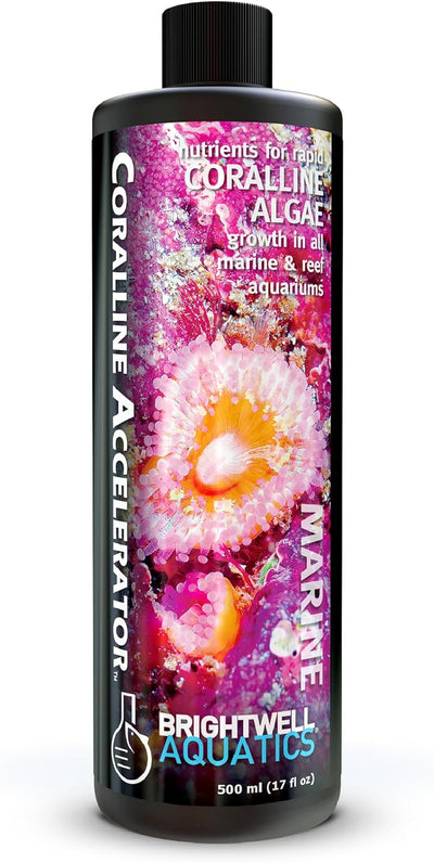 Brightwell Aquatics Coralline Accelerator – Coral Growth Booster – 500 ml
