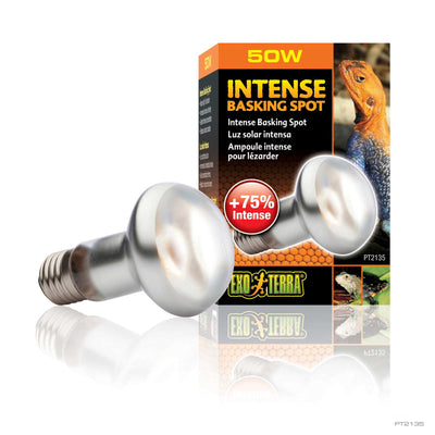 Exo Terra Intense Basking Spot Lamp 50W box with concentrated-beam reptile bulb