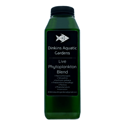 Dinkins Aquatic Gardens Live Phytoplankton Blend bottle, front label with six species list