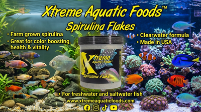 Xtreme Aquatic Foods Spirulina Flakes banner, farm-grown clearwater formula for freshwater and saltwater fish, made in USA