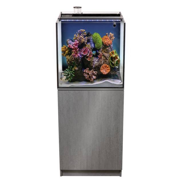 Aquatop Recife ECO reef aquarium with coral on a gray cabinet stand, angled view