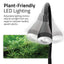 Plant-friendly LED lighting panel showing the Kühl's black adjustable gooseneck lamp over aquatic plants