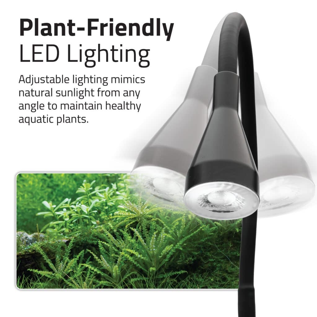 Plant-friendly LED lighting panel showing the Kühl's black adjustable gooseneck lamp over aquatic plants