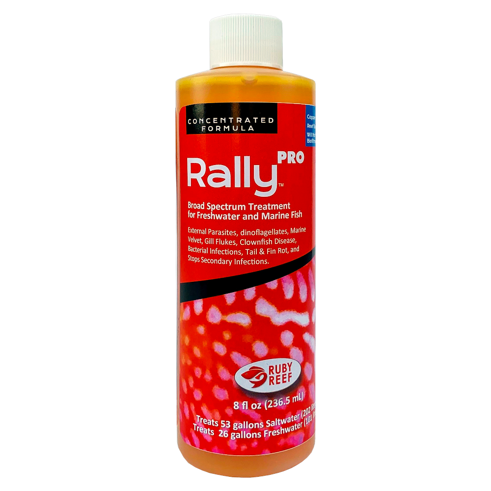 Ruby Reef Rally Pro bottle front label, concentrated broad-spectrum reef-safe treatment for freshwater and marine fish