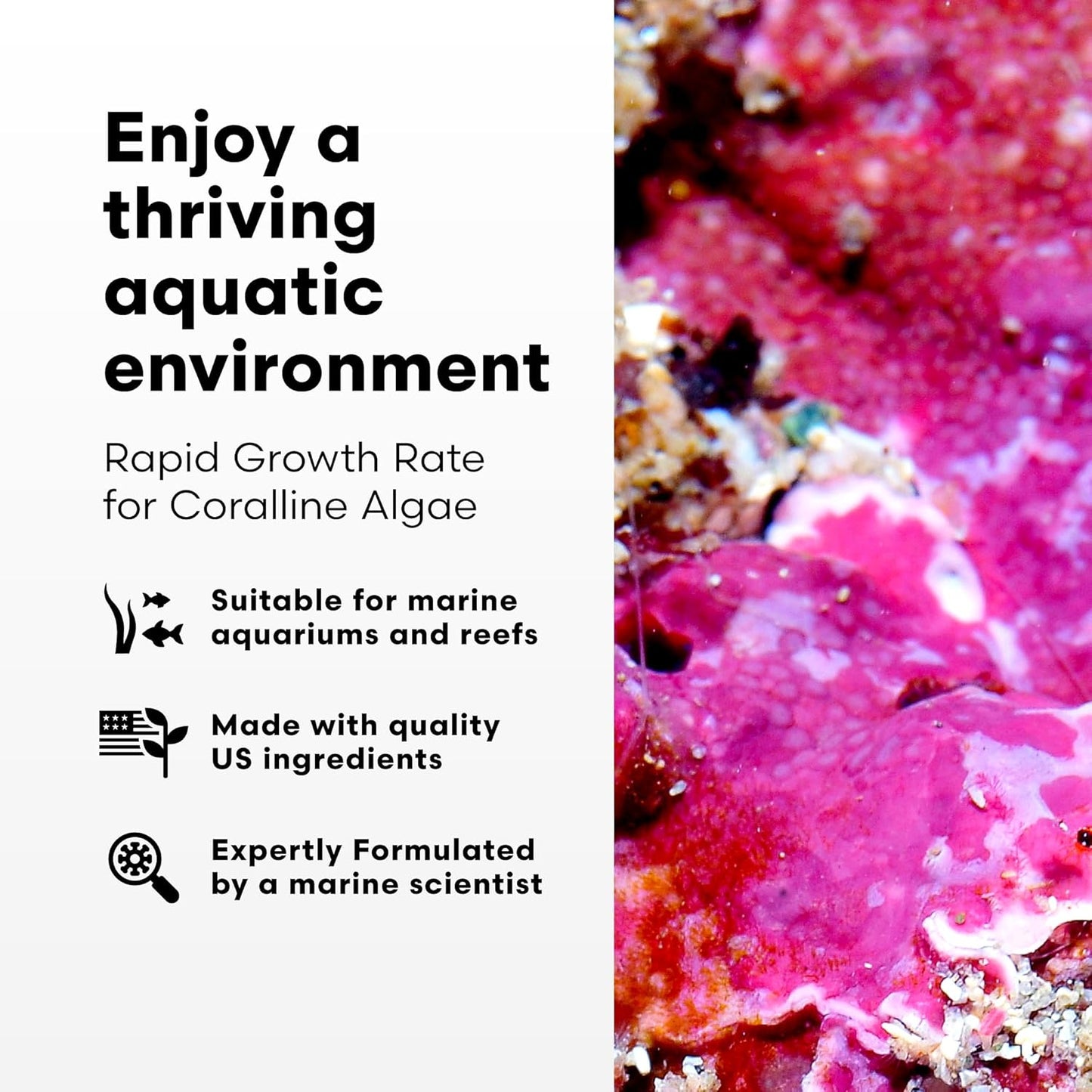 Brightwell Aquatics Coralline Accelerator – Coral Growth Booster – 250 ml