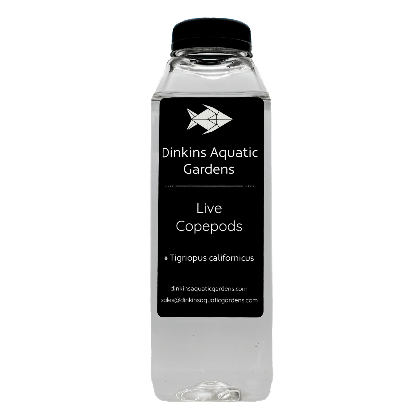 Dinkins Aquatic Gardens live Tigriopus copepods (Tigriopus californicus) bottle, reef live food for mandarins